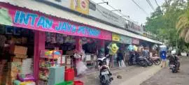 Intan Jaya Petshop