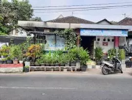 Arjuna pet shop