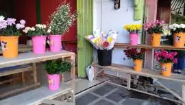 Panji Florist