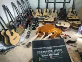 Bunglon Gitar Malang