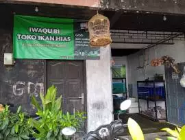 TOKO IKAN HIAS IWAQU