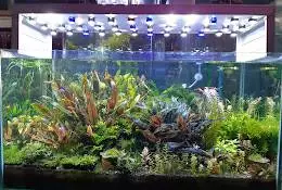 Aquazone Aquarium & Pet Shop 