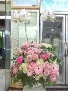 POPO Florist – Pusat Karangan Bunga Papan Standing